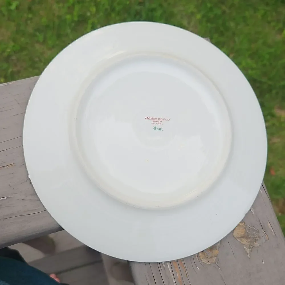 Theodore Haviland Limoges Rani salad plate